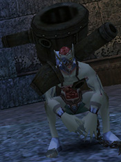 Magnus crouching